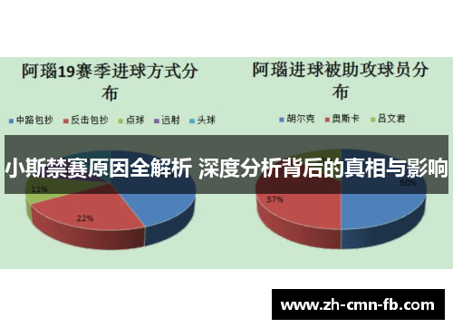 小斯禁赛原因全解析 深度分析背后的真相与影响