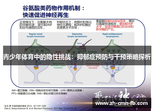 青少年体育中的隐性挑战：抑郁症预防与干预策略探析