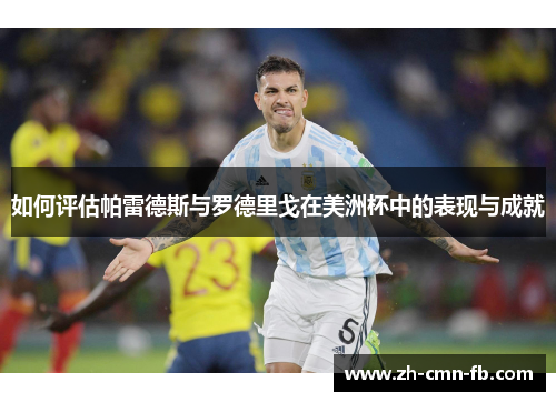 如何评估帕雷德斯与罗德里戈在美洲杯中的表现与成就