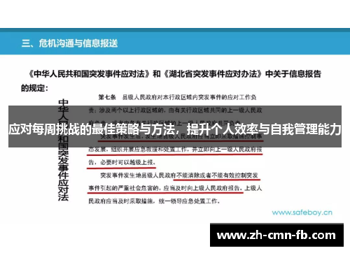 应对每周挑战的最佳策略与方法，提升个人效率与自我管理能力