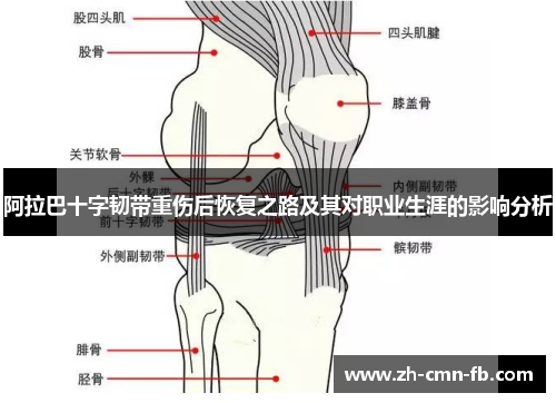 阿拉巴十字韧带重伤后恢复之路及其对职业生涯的影响分析 阿拉巴十字韧带重伤后恢复之路及其对职业生涯的影响分析